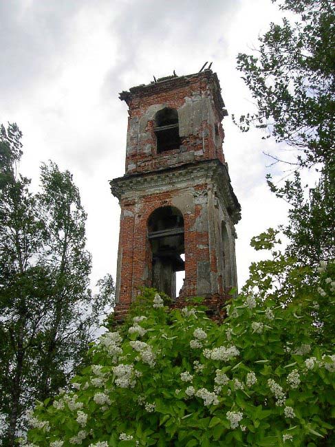 Новгородская область - Батецкий район - Мелковичи. Покровская церковь